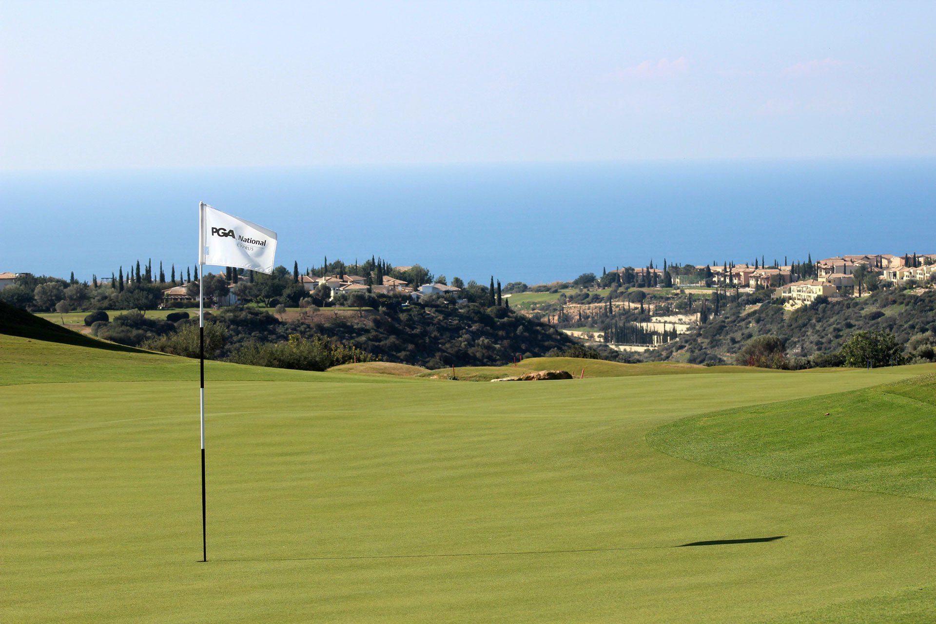 offer featured image