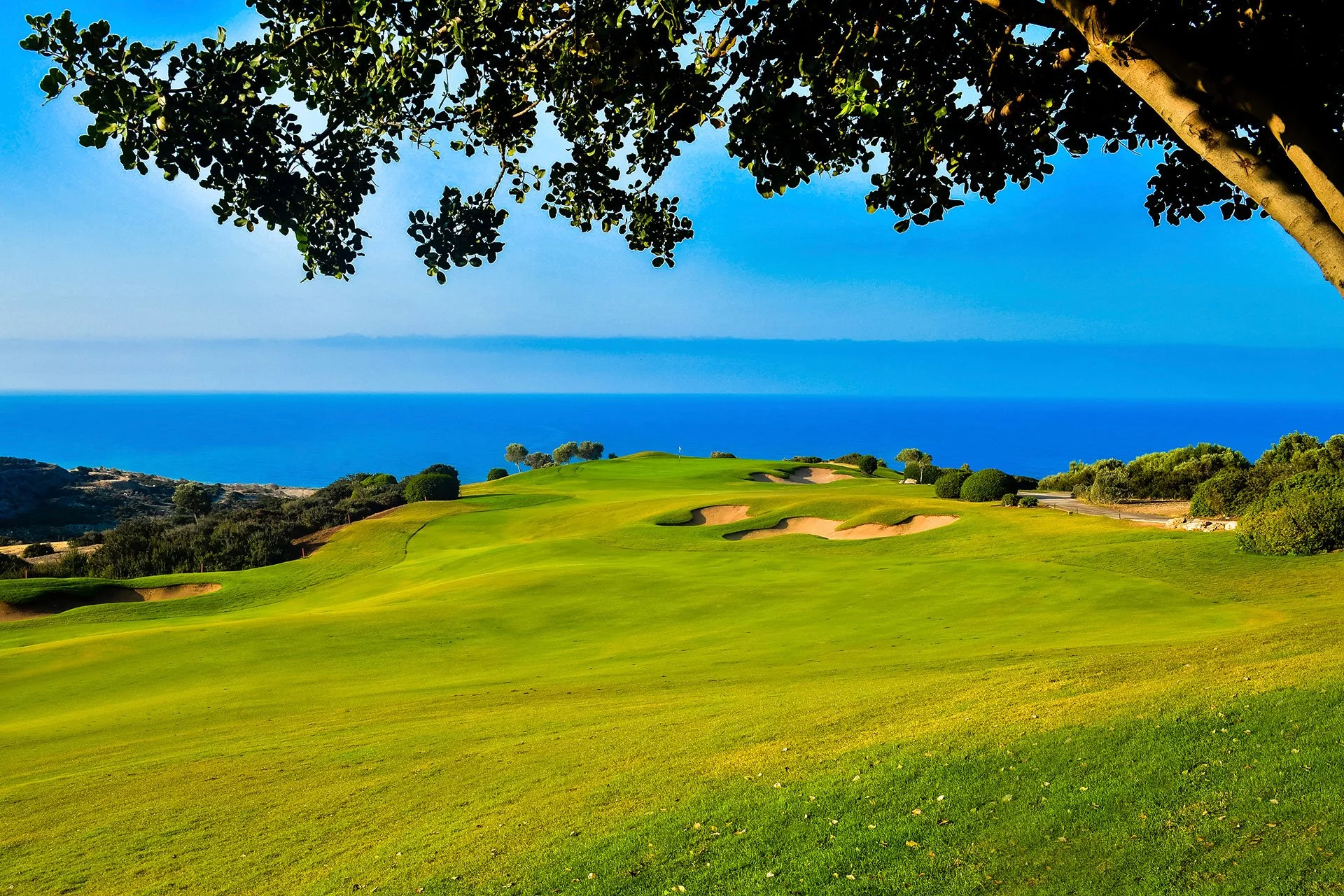 offer featured image